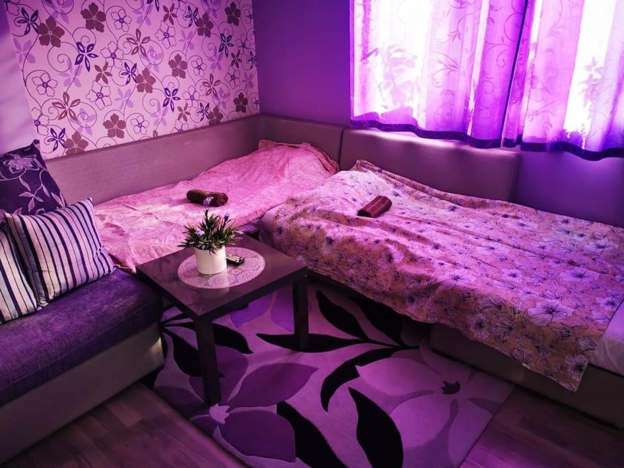 Apartment Lavender, Near To Airport София Экстерьер фото